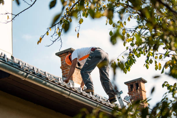 Best Slate Roofing Contractor  in Evans, CO