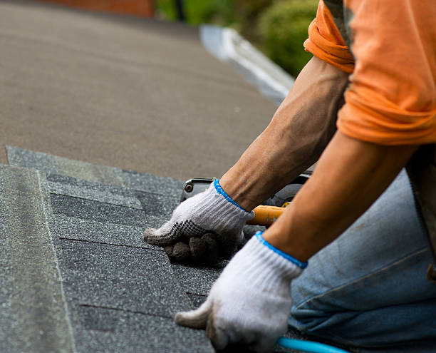 Quick and Trustworthy Emergency Roof Repair Services in Evans, CO