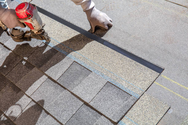 Best Metal Roofing Contractor  in Evans, CO